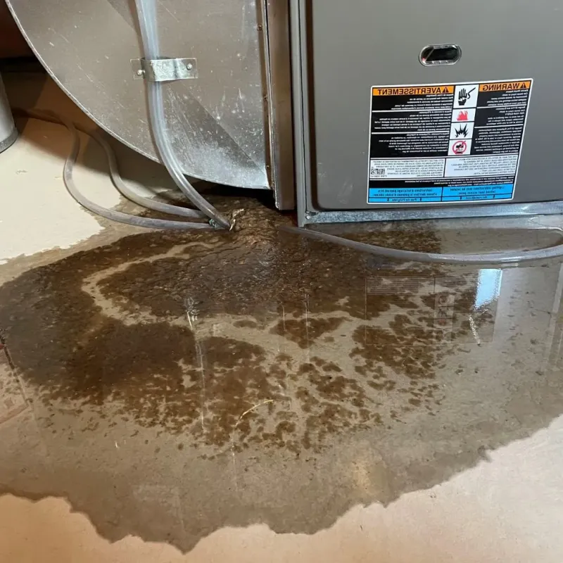 Pipe Burst and Leak Restoration in Dongan Hills, NY