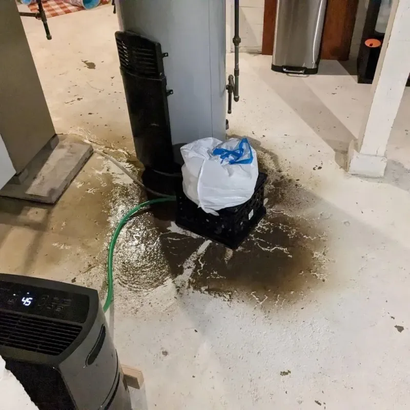 Sewage Backup Cleanup Service in Dongan Hills, NY